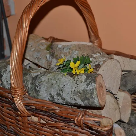 La Seronda De Redes * Bueres