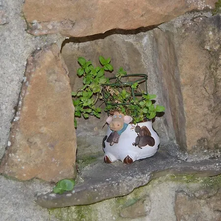 Landsted La Seronda De Redes Bueres