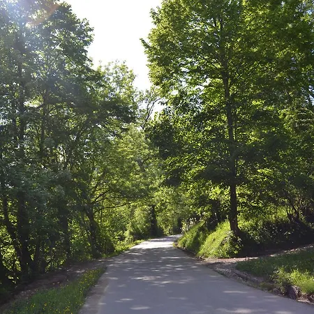 La Seronda De Redes *