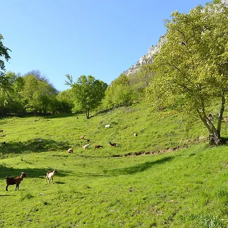 La Seronda De Redes Landsted